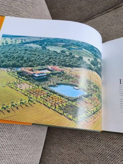 Mirrors of Paradise the Gardens of Fernando Caruncho by Guy Cooper and Gordon Taylor 2000 first edition hardback with dustcover in very good condition FREE STANDARD POSTAGE INCLUDED