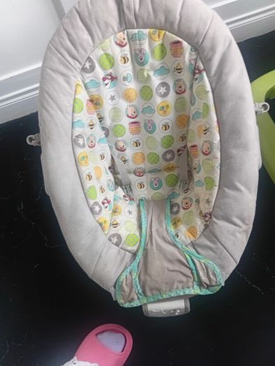 Baby Bouncer
