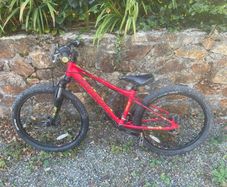 Carrera bike