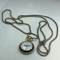 Newton pendant watch