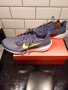 Nike Pegasus 41