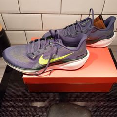 Nike Pegasus 41