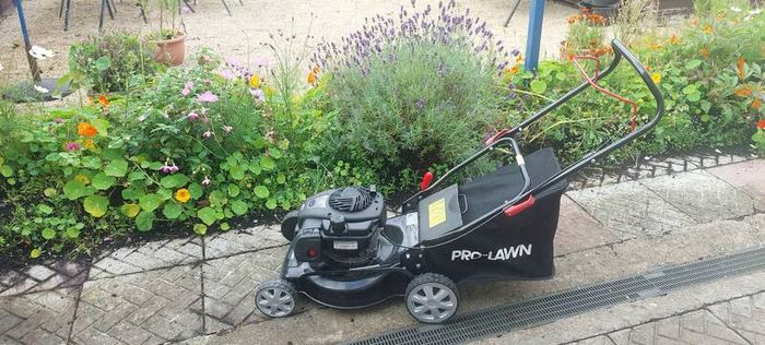 Briggs& Stratton 450e needs service