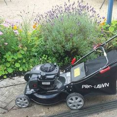 Briggs& Stratton 450e needs service