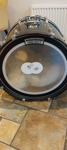 Pearl Export 12/13/16/22