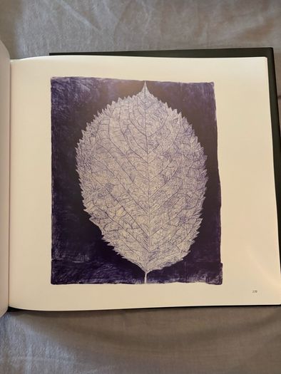 Three Centuries of Irish Art: Crawford Art Gallery Collection Book