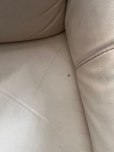 Cream Leather Sofa