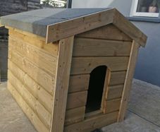 dog kennel