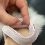 UGG genuinely baby shoes Image 6