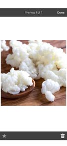 Kefir grains