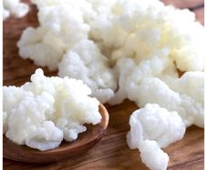 Kefir grains