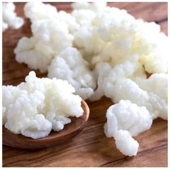 Kefir grains