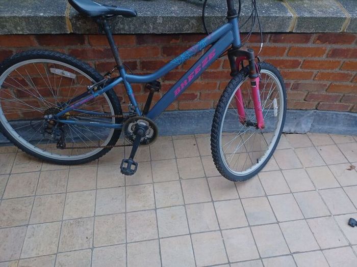 Mountain Bike