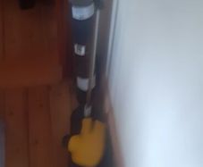 boxing bag