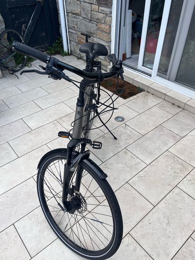 mens bike trek large frame