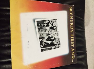 Skynyrds first and ... lp UK press