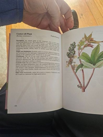 Natural Beauty Care With Flowers And Plants. B. Hlava, Z. Krejcova. Hardback In Good Condition.  See Photos For Same.