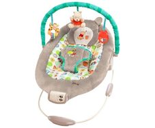winnie the pooh bouncer