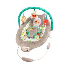 winnie the pooh bouncer