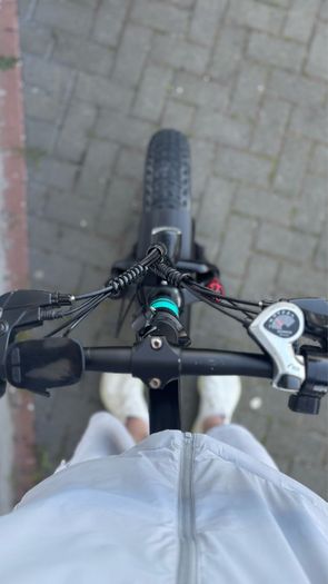 E-Bike Fiido M1 PRO