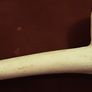 wade pipe rest and clay pipe Image 7