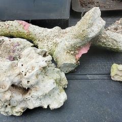 Decorative rocks fish tanks