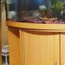Aquarium Image 2