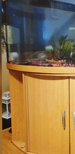 Aquarium