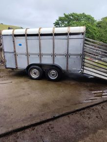 Ivor Williams 12 by 6 cattle trailer