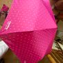 New Umbrella Image 2