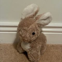 teddy