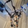 car bike rack Image 3