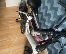 Fiido electric bike