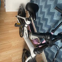 Fiido electric bike