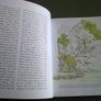 Glenstal Abbey Gardens Ireland Irish Limerick local history Image 6