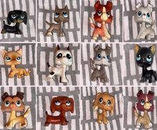 littlest pet shop (LPS) 12 pet bundle!! CHECK DESC