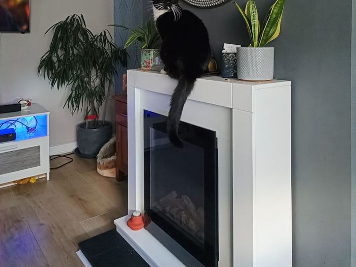 free electric fire