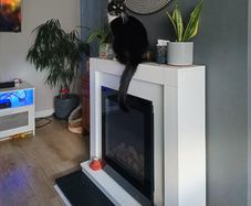 free electric fire