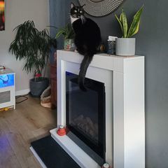 free electric fire