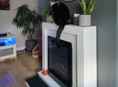 free electric fire