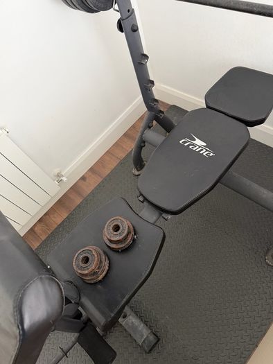 Weight Bench (quick sale!)