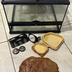 Terrarium