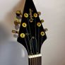 Epiphone flying V Image 3