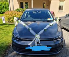 Wedding Car Decorations