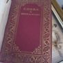 Rare 1925 Rudolph Valentino "Cobra" Photoplay Edition Book (Martin Brown & Russell Holman) Image 2