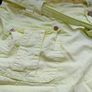 Shorts Image 6