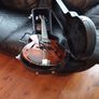 Mandolin Image 7