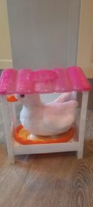 Duck toy