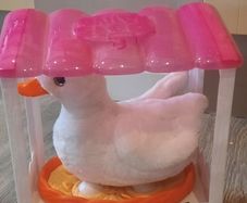 Duck toy