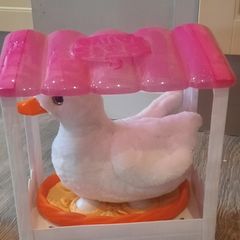 Duck toy